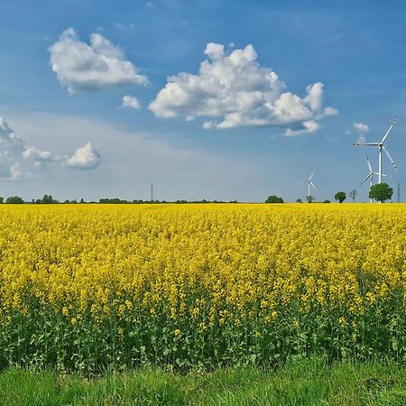 Agroturystyka Nowy Krakow Jezyce Eksteriør billede